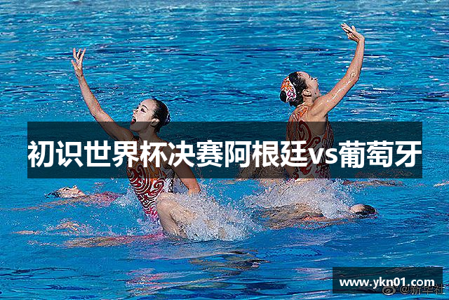 初识世界杯决赛阿根廷vs葡萄牙